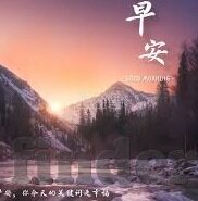 世界杯竞猜比分比例-世界杯竞猜比分比例，一场全球狂欢的数字游戏
